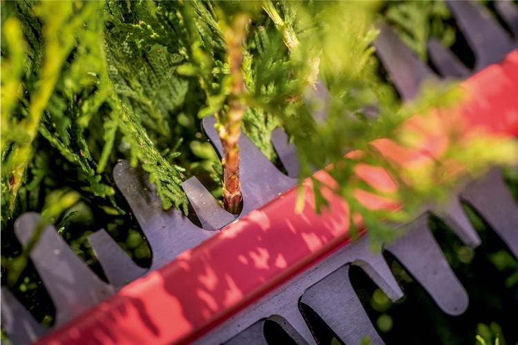 Battery Hedge Trimmer Hs 18 Ltx 55 - Me 601718850