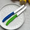 Obst- und Gemüseschäler aus Edelstahl mit Kunststoffgriff