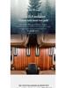 Buick GL8 2020 Teak Wood Floor Mats for Avenir Fathead Fish Lucene ES25S