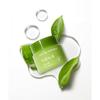 Nature Republic [2pack] Young Green Tea Mild Cream 55ml 2