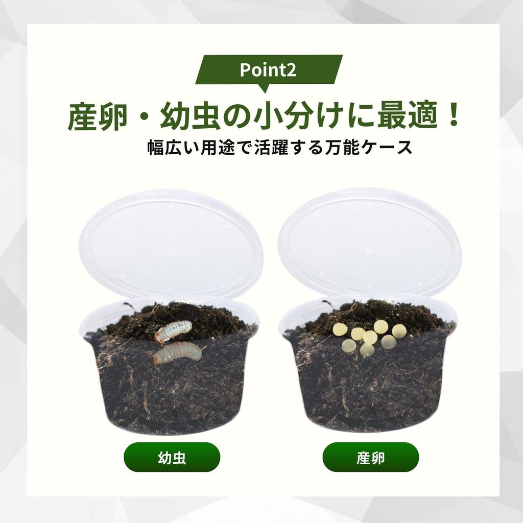 Archnote 50-Piece Pudding Cup Insect Breeding Containers for Rhinoceros Beetles, Stag Beetles, and Larvae, with Holes