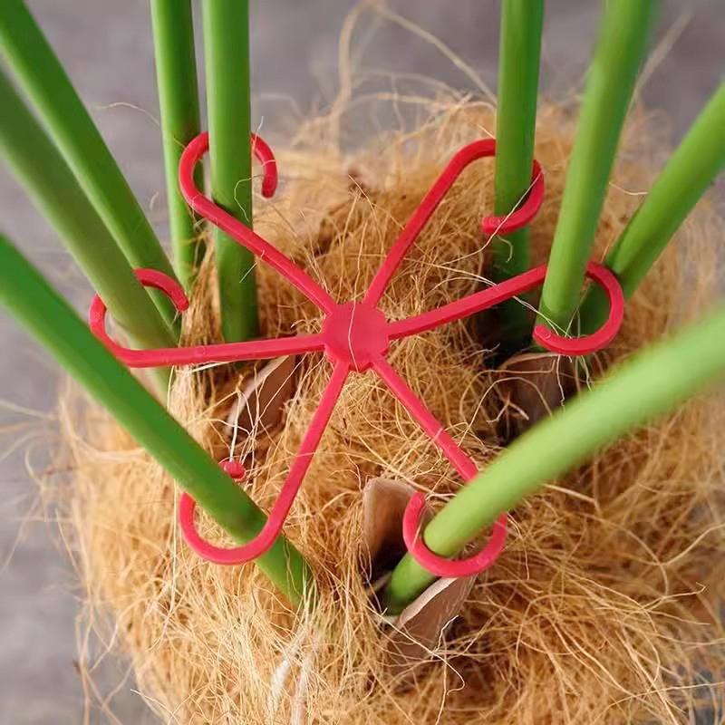 Suport pentru tulpina plantelor Clipuri reutilizabile pentru suport pentru plante Accesorii pentru plante de gradina Ramuri de flori Organizator tulpina suport Clema de fixare