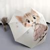 1pc Kitty in Pink Dress Umbrella with Plastic Handle, Suitable for All Seasons Outdoor PT413