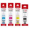 Canon GI-890 Original Ink & Print Heads