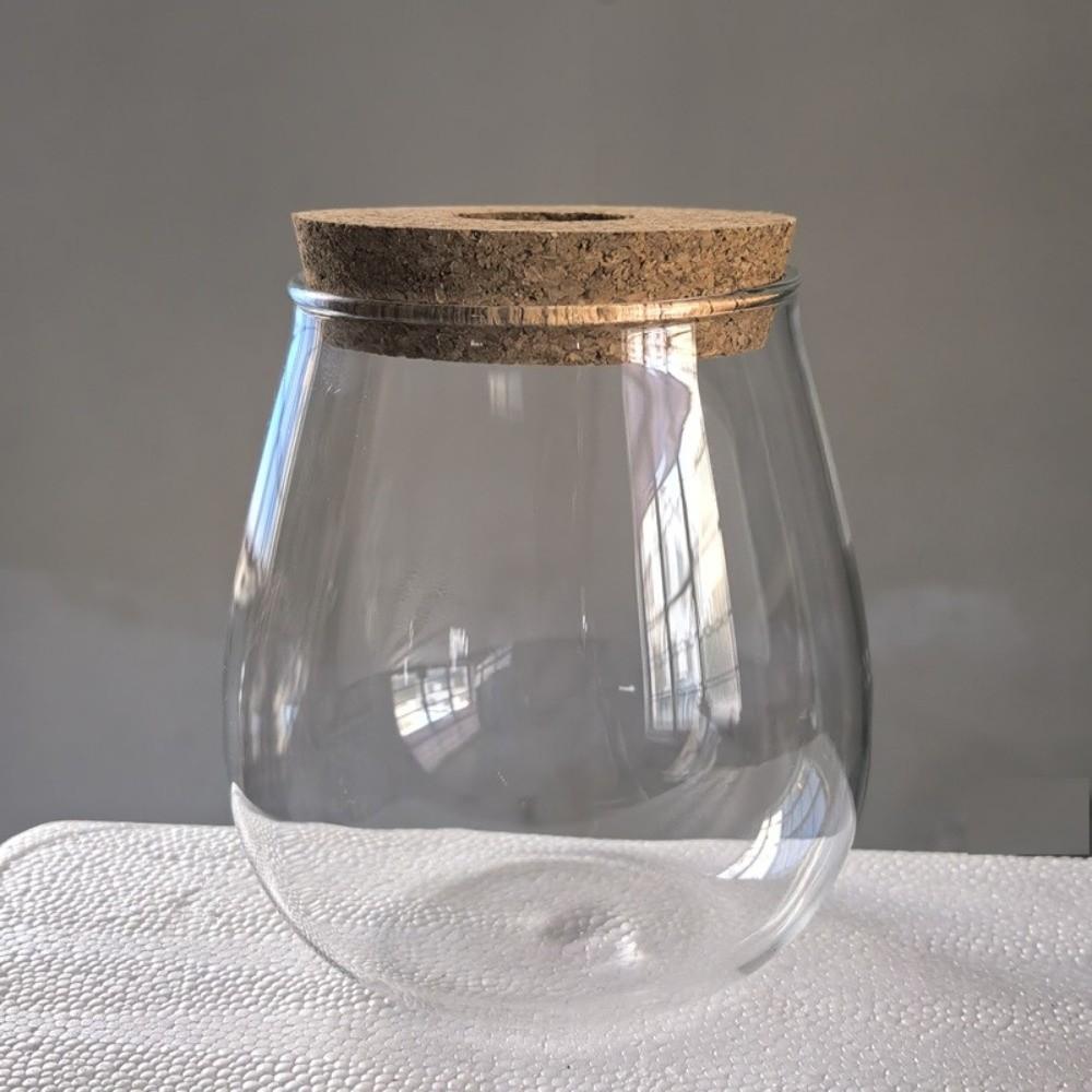 Vase Rack Transparent Hydroponic Flowerpot with Wooden Tray Decorative Tabletop Plant Vase Glass Glass Planter Botanical Display