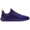 Nike LeBron TR1 "Purple Rain" Sneaker FJ6151-500