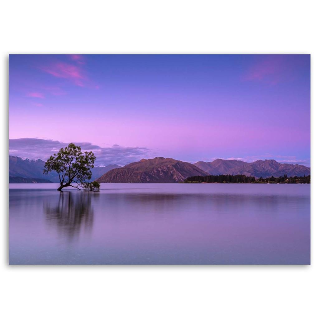 Canvas Print Purple Tree On a Lake