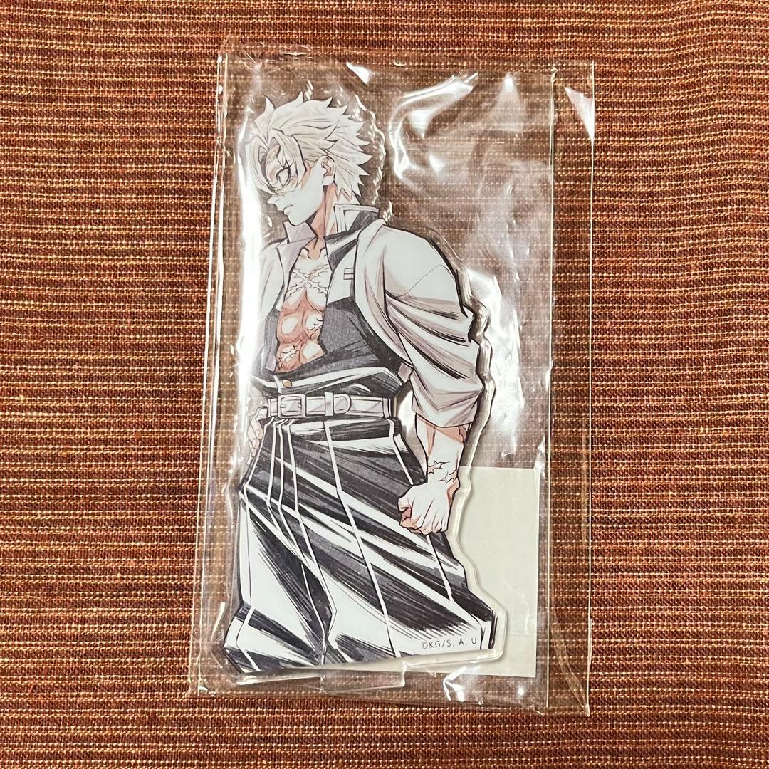 Used Demon Slayer: Kimetsu no Yaiba Pillar Drawing WEBSHOP Lottery D Prize Acrylic Stand Miya Fushikawa