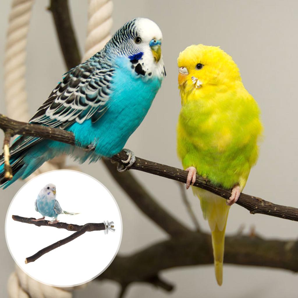 2/10pcs Natural Wood Bird Standing for Parrot Bird Perches Stick Parrot Stand Platform Wooden Exercise Climbing Paw Grinding