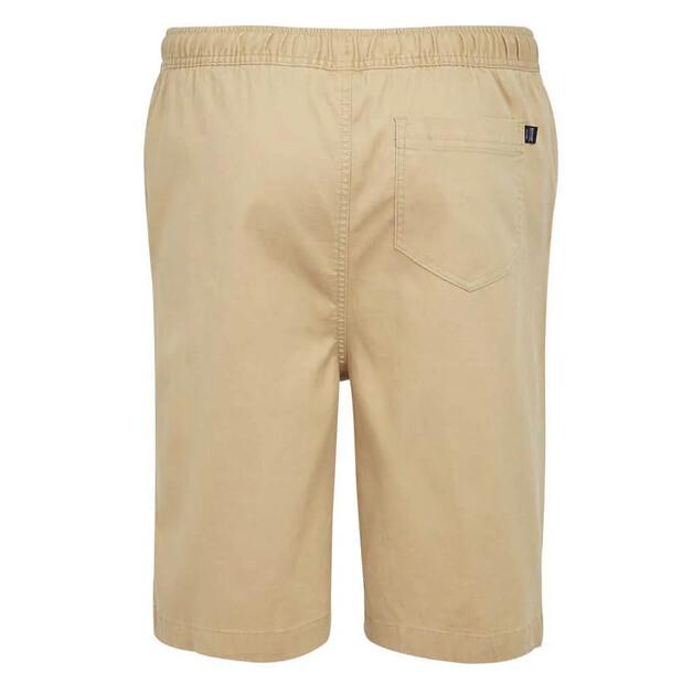 Regatta Шорты Aldan