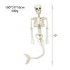 90cm Fully Articulated Luminous Skeleton Figure for Halloween Décor in Escape Rooms