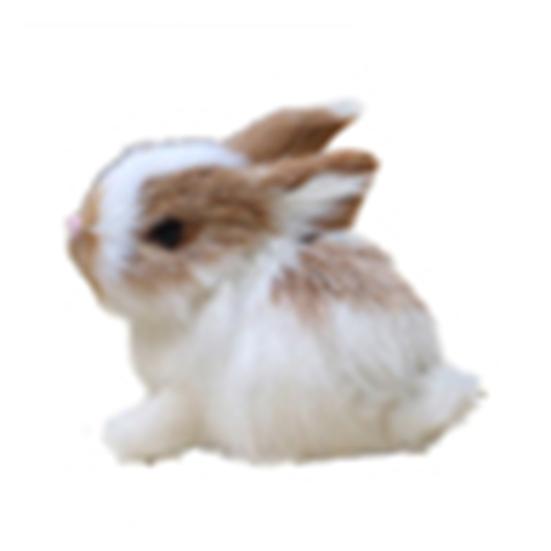 Шпиондық бейне HD