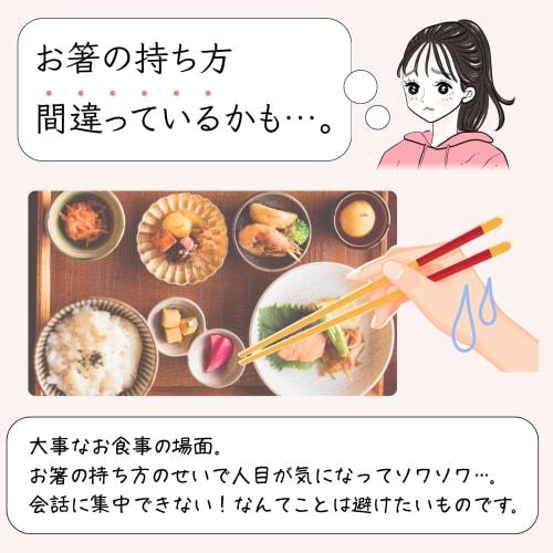 FlaColle Hashimo [Serious Corrective Chopsticks That Never Give Up] Adult Corrective Chopsticks [Learn Beautiful Grip Through Feeling] Chopsticks for