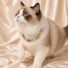Natural Gemstone Pet Collar Dogs Cats - Green Prehnite Quartz Crystal Necklace Accessory Stylish Ins Fashion