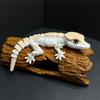 3D Geprinte Crested Gecko Figuur met Beweegbare Gewrichten Hagedis Koelkastmagneet Bureauornament Woonkantoor Decoratie voor Reptielenliefhebbers