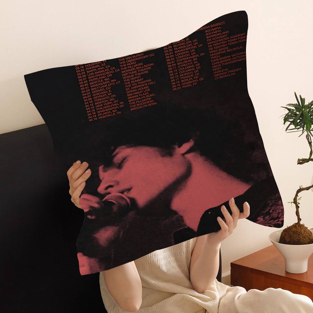 

Singer Sombr Back To Friends Lucky Dragon Pillow Cover Sofa Cushion Cover Home Room Decoration Children Gift 30x30 cm