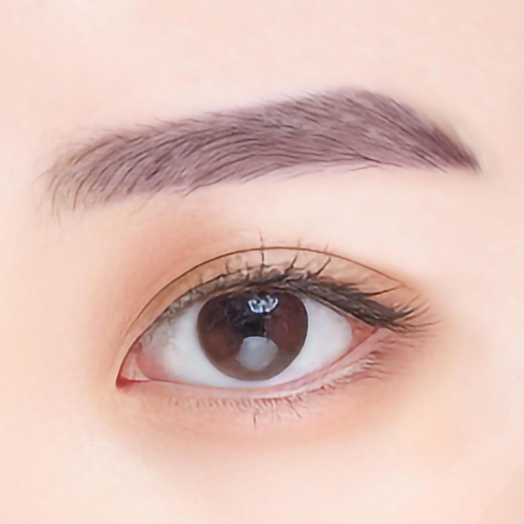 Lumia Glass Velvet Eyebrow Mauve (03. Brown)