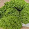 100G Realistic Artificial Moss For Diy Crafts & Home Decor Perfect For Indoor Landscapes & Wedding Decorations