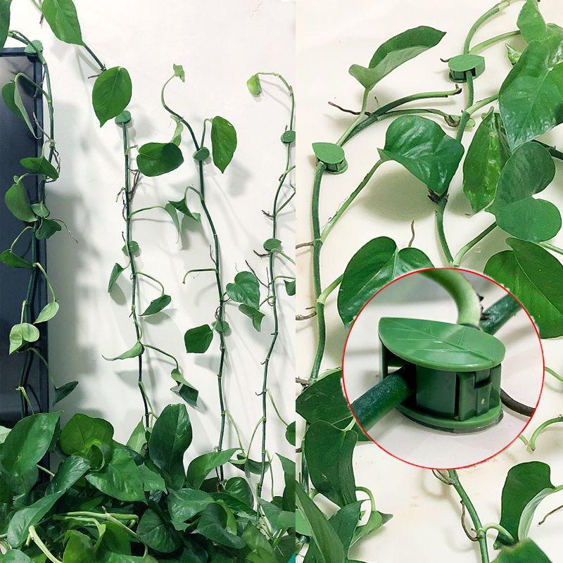 10/20PCS Invisible Plant Climbing Wall Fixture Clips Acrylic Sticker Self-Adhesive Hook Plant Vine Traction Holder Indoor Outdoor
