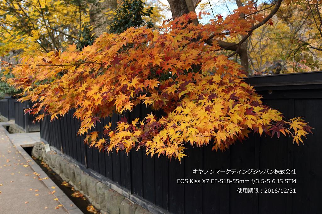 Canon Digital SLR Camera EOS Kiss X7 Lens Kit IS STM Included EF-S18-55mm F3.5-5.6 KISSX7-1855ISSTMLK