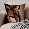 Popular fashionable Chinese singer DDanyLee Cushion Cover Pillowcase Antidustmite Invisible Zipper Short Plush Sofa Cushion