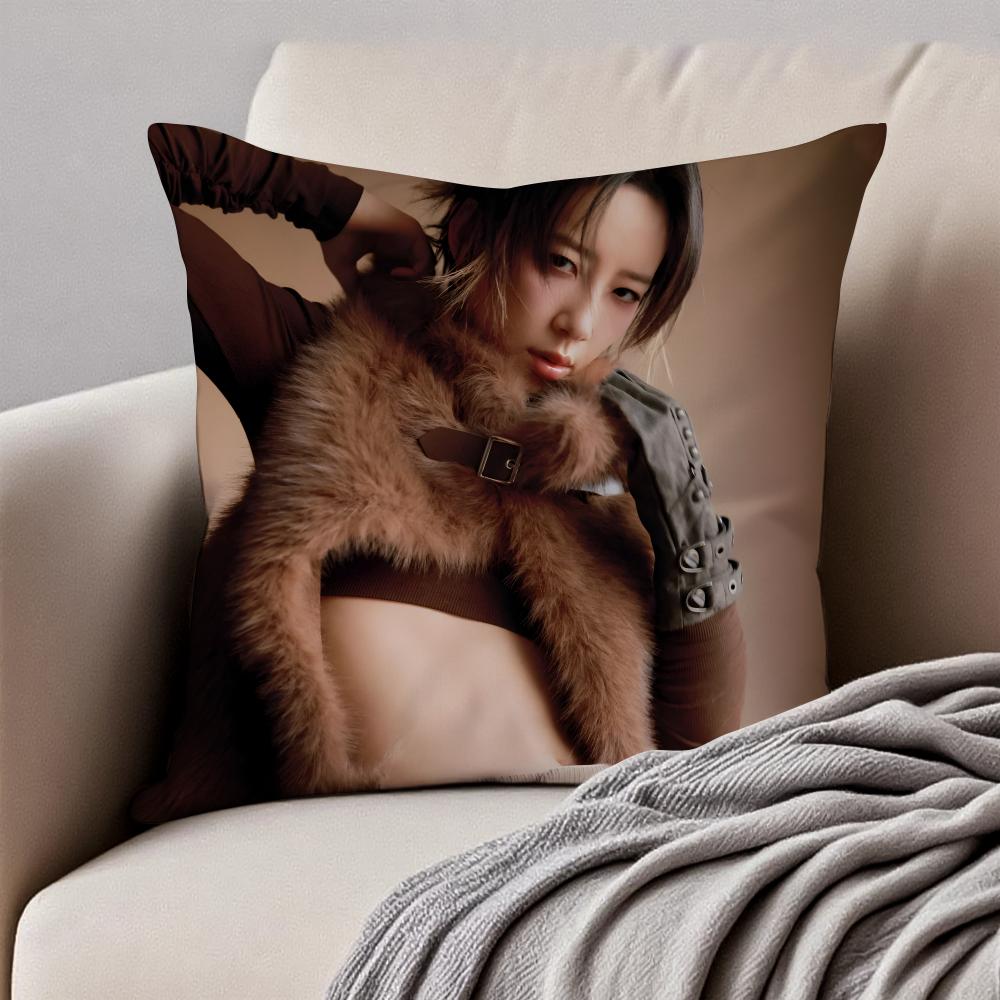 Popular fashionable Chinese singer DDanyLee Cushion Cover Pillowcase Antidustmite Invisible Zipper Short Plush Sofa Cushion
