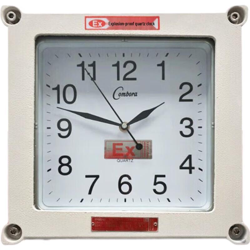 Explosion-Proof Quartz Wall Clock