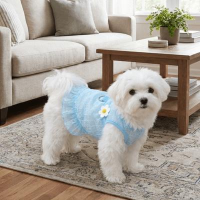 Kleding en schoenen – Jurken voor honden