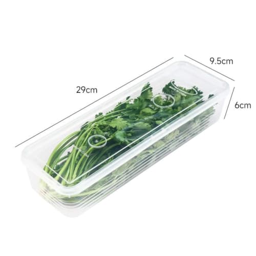 Set of 6 Vegetable Storage Containers | Refrigerator Storage for Radishes, Green Onions, and Cilantro | Airtight Transparent Boxes | Space-Saving, Sta