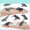 Marine Animal Beluga Whale And Whale Replica Model Set Pvc Toy For Aquarium Decor