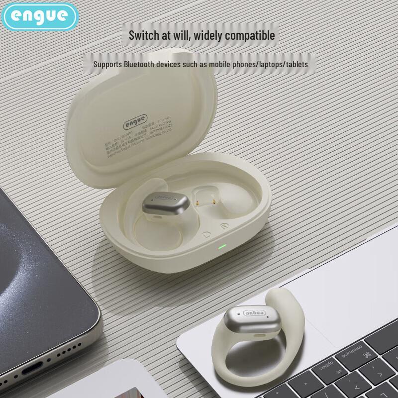 EnGu OWS-AP11 Ear-Hook Sports Bluetooth Earbuds