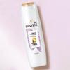 Pantene PRO-V Fortifying Shampoo for Fragile Hair