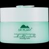 DR PLANT Centella Asiatica Soothing Purifying Cleansing Balm