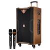 MALONE M-8510L Pro Portable PA Speaker with Dual Microphones (CN Version)