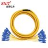 SNIT 12-Core Breakout Single-Mode Fiber Patch Cord