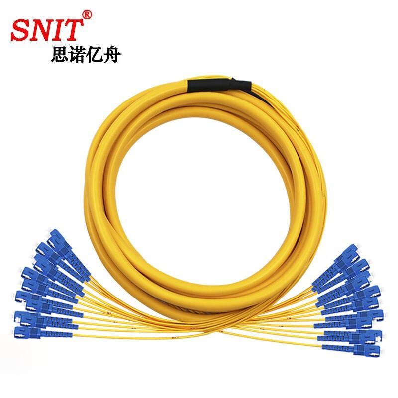 SNIT 12-Core Breakout Single-Mode Fiber Patch Cord