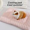 1 PC Summer Cooling Pet Mat Soft Breathable Self-Cooling Blanket Mat for Small Animal Hamster Guinea Pigs Chinchillas Rat Rabbit
