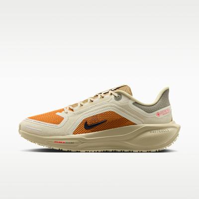 Nike Air Zoom Pegasus 41 Gore-Tex