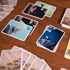 Bestes CABO Pandasaurus Meersalz Papier HIMMELSTEAM Kartenspiel Rasante Taktische Unterhaltung für 2-4 Erwachsene, Familienparty Geschenke