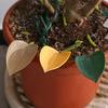 Leaf Shape Watering Funnel, Creative Plant Drip Irrigation Guide Device for Potted Plants Flowers Succulents