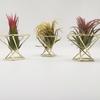Suport pentru plante decorative geometrice de 3 bucăți din metal, utilizat pe scară largă Suport pentru plante de aer pentru decorare pentru bar