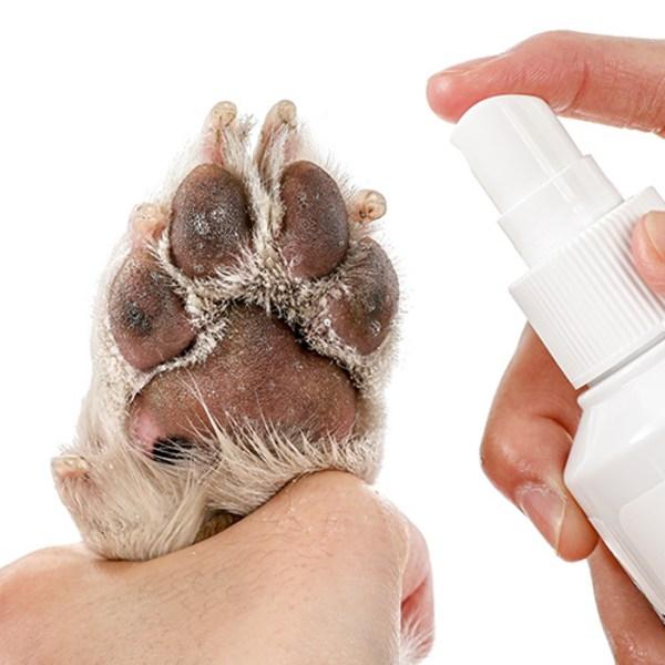 Laughing Charlie Dog Soothing Foot Cleanser, Korean Pet Shampoo