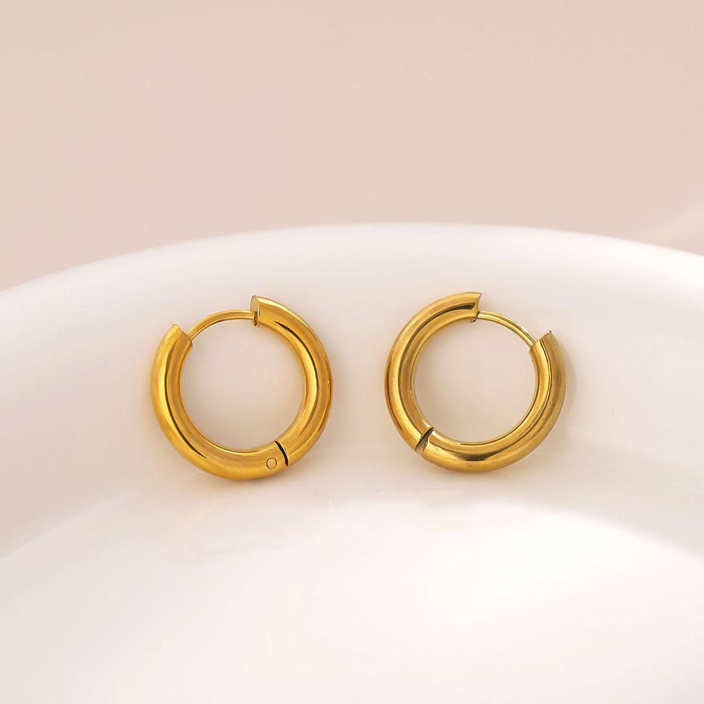316L Stainless Steel Earrings For Women  Vintage Hip Hop Hoop Trend Colorfast Earrings High Quality Girl