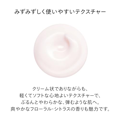 SHISEIDO Essential Energy Hydrating Cream 50g Creamy Floral Citrus Moisturizing Dryness Fine Lines Texture