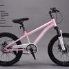 Phoenix 18-inch Kids Mountain Bike