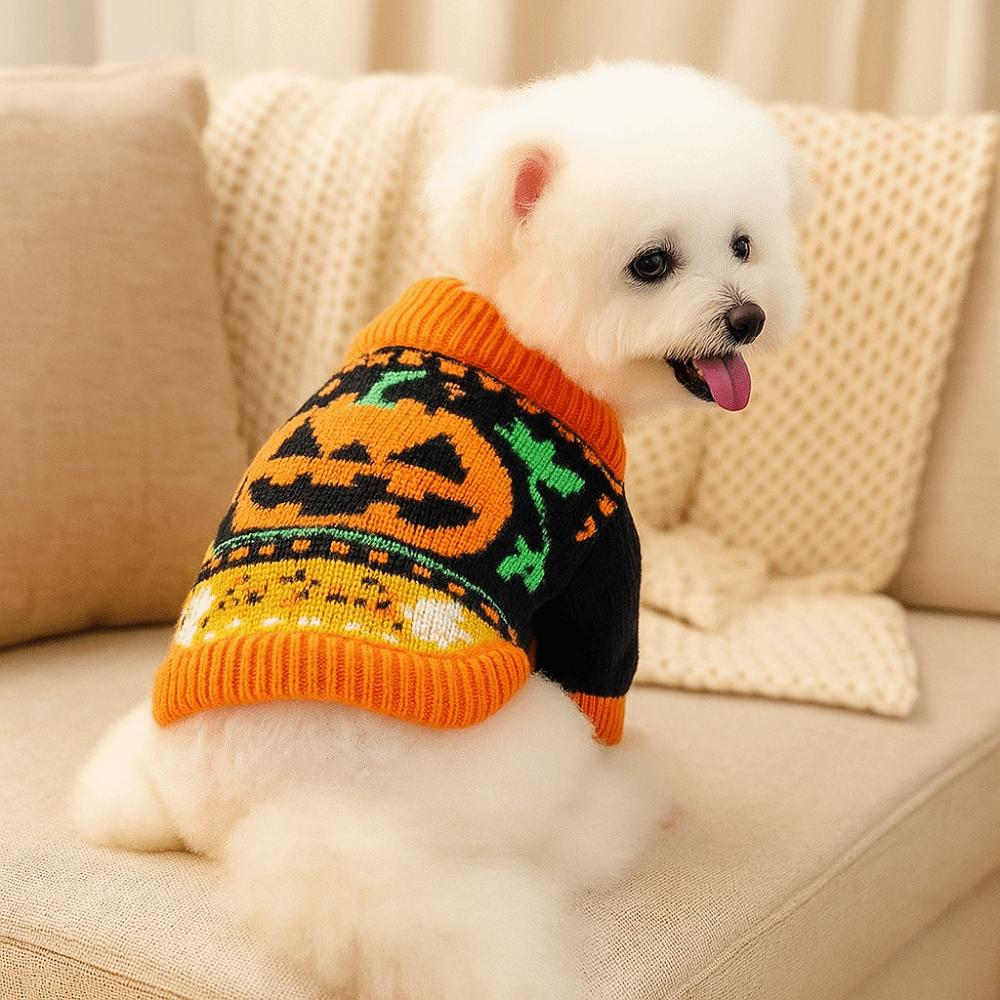 Turtleneck Design Pumpkin Pet Sweater Pumpkin Costume Cat Sweatershirt  Halloween Party