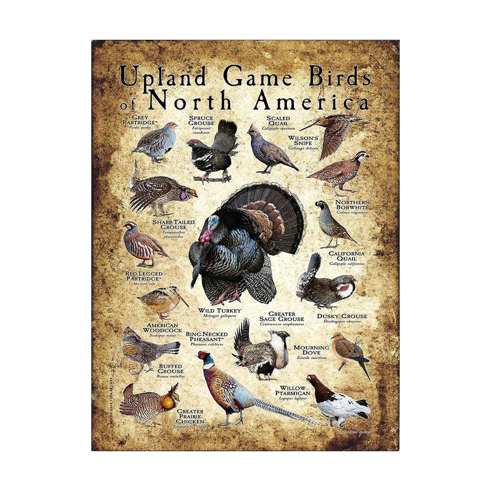 Abstrakt HD-tryck Fjäril Groda Fåglar Haj Marina Djur Collage Poster Canvas Målning Vintage Väggkonst För Barn Sovrum Heminredning