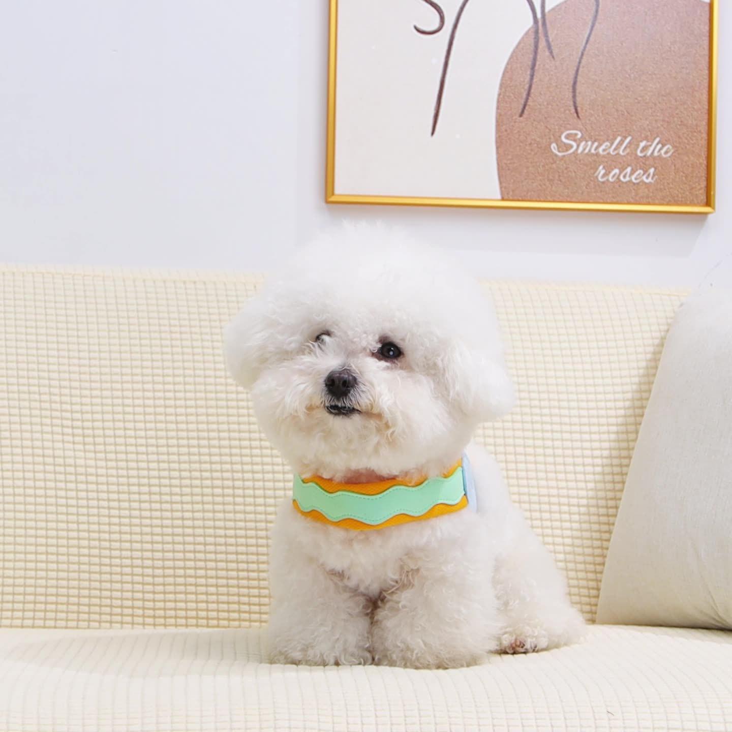 

Wave dopamine Y-shaped leash Small and medium-sized dogs go out in summer Anti-lost anti-dog leash Pet dog chest and back rope XXS (recommended weight 5-6kg)