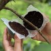 High Pressure Plant Rooting Propagation Ball Reusable Plant Root Growing Box Grafting Growing Boxes Garden Planting Flower Pots