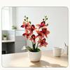 Silk Petals Simulation Cymbidium Bonsai Multicolor Simulated Orchid Plant  Office Hotel